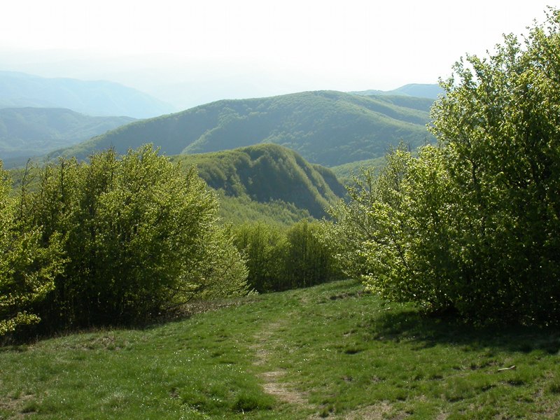 Vista da Monte Falco @Parks.it