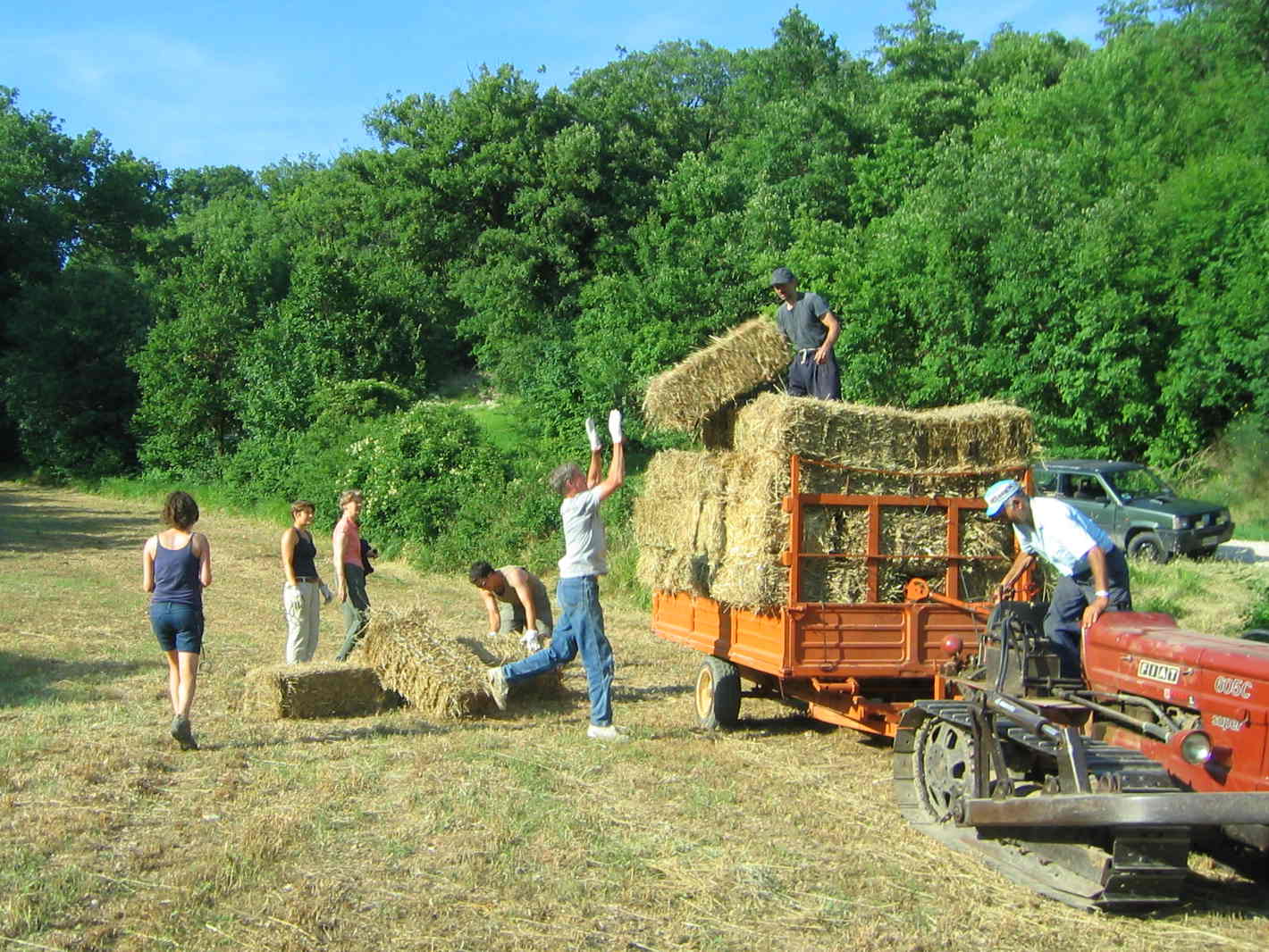 WWOOF Italia