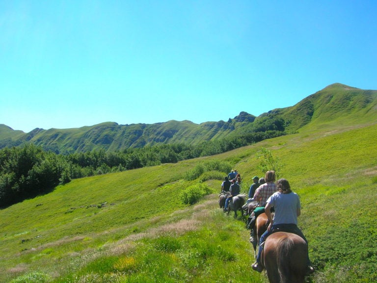 Autumn horse riding in Emilia Romagna