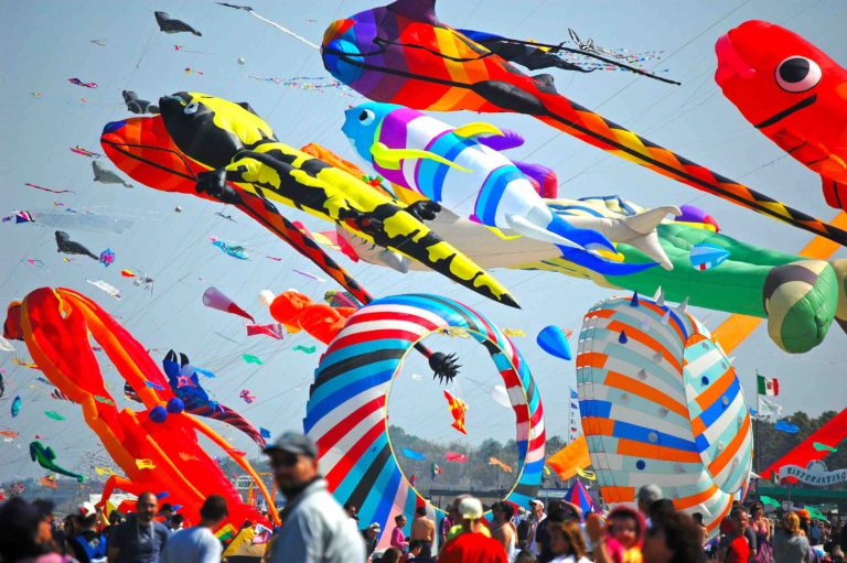 Flying kites for the most colored festival in Emilia-Romagna