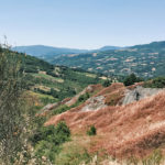 SocialTrek (Cammino di San Francesco) | Panorama sulla Valmarecchia