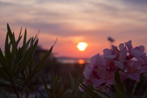 All’alba in Emilia Romagna: tante esperienze da vivere