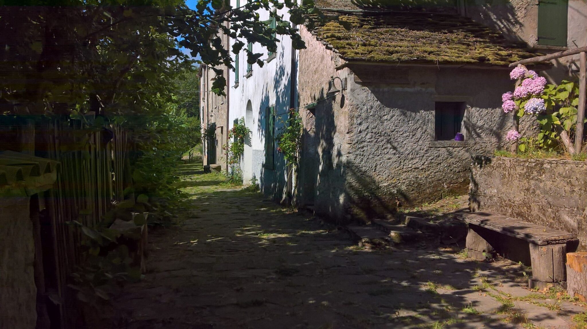 bologna, trekking col treno croniche appenniniche ph. Trekkingcoltreno.it