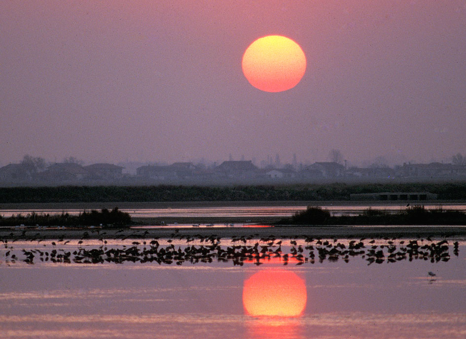 cervia, ravenna, alba in salina, ph. Guerrino Gori via gardenclub.it