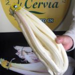 Cardo di Cervia – ph. Archivio Turismo Cervia