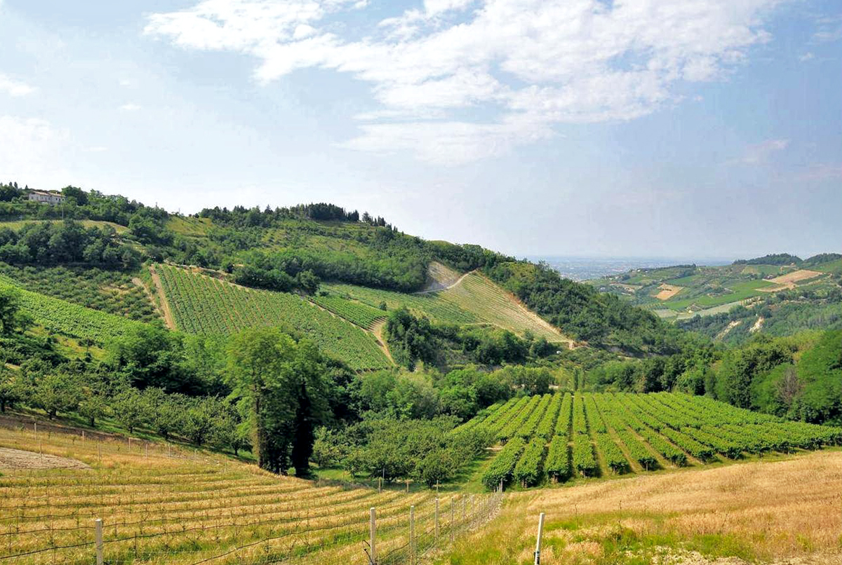 Le colline di Cesena | Foto Regione Emilia Romagna