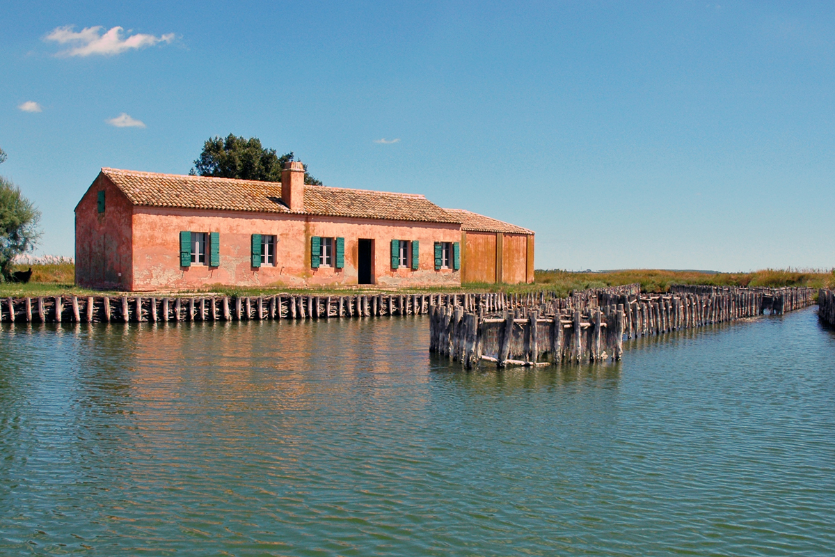 Comacchio (Ferrara) | Photo taken from parcodeltapo.it