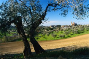 Discovering Romagna: tours and routes around Rimini