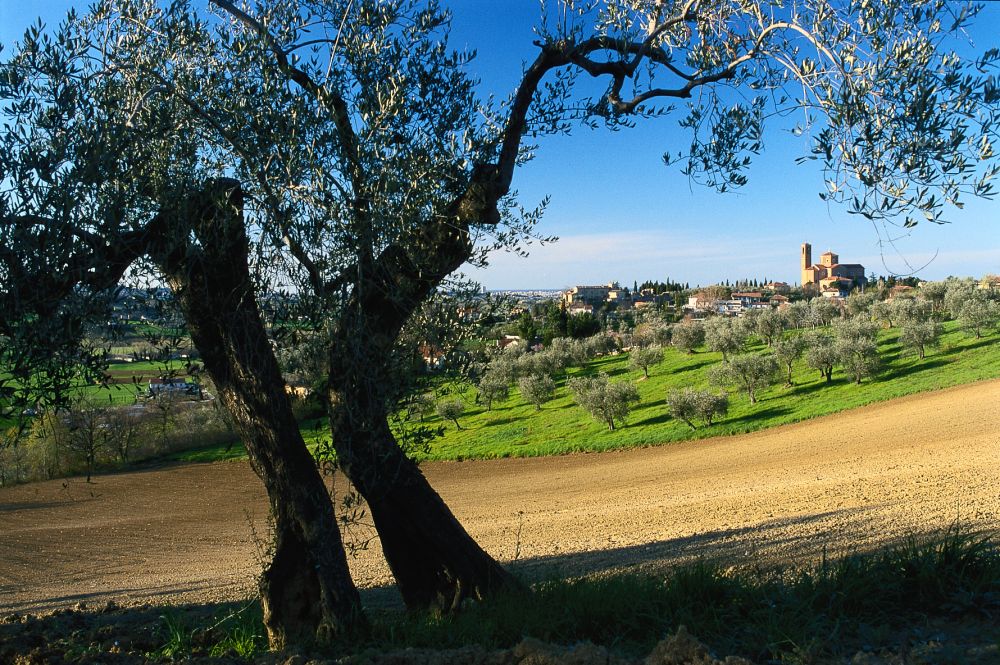 Coriano - Ph. Riviera di Rimini