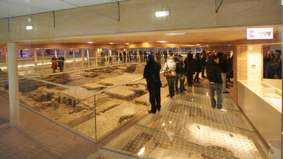 The surgeon's Domus, Rimini