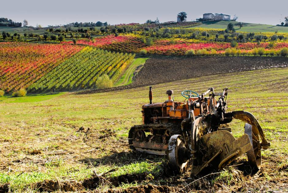 Lambrusco