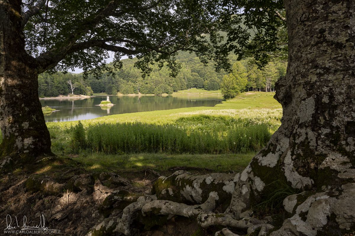 estate-lago_di_calamone_reggio_emilia-parco_tosco-emiliano_ph.carlo_alberto_conti