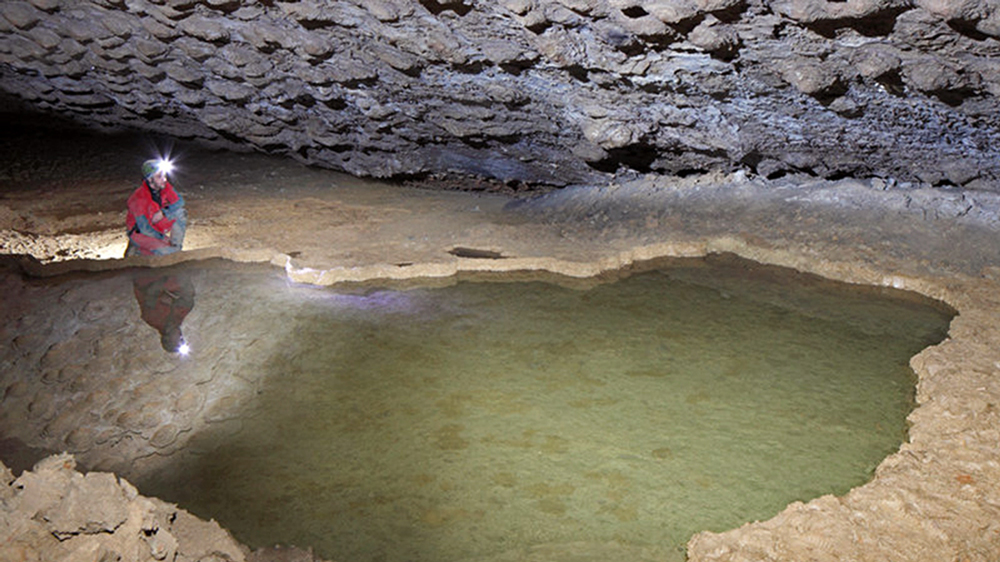 San Lazzaro di Savena (Bologna), Grotta del Farneto 
