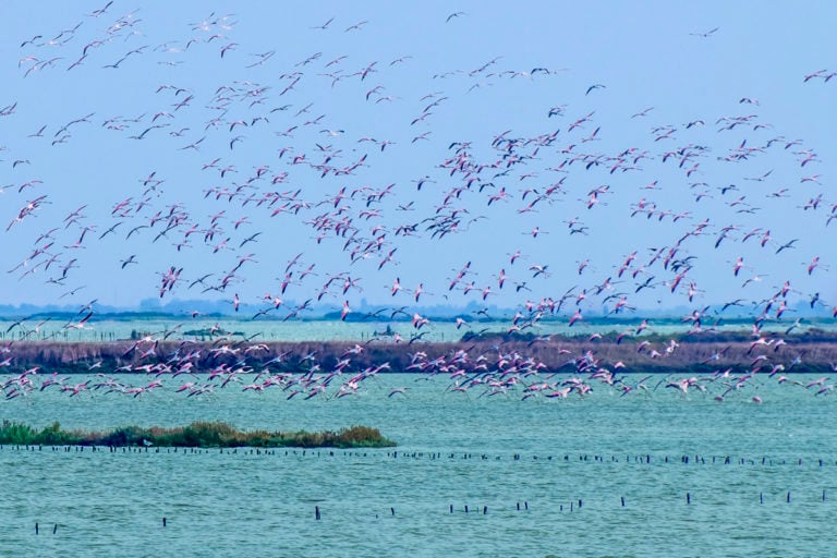 Emilia-Romagna for kids: Comacchio e Ravenna