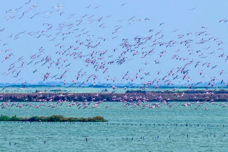 Emilia-Romagna per bambini: Comacchio e Ravenna