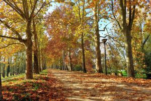 The Walls of Ferrara: an itinerary on foot or by bike