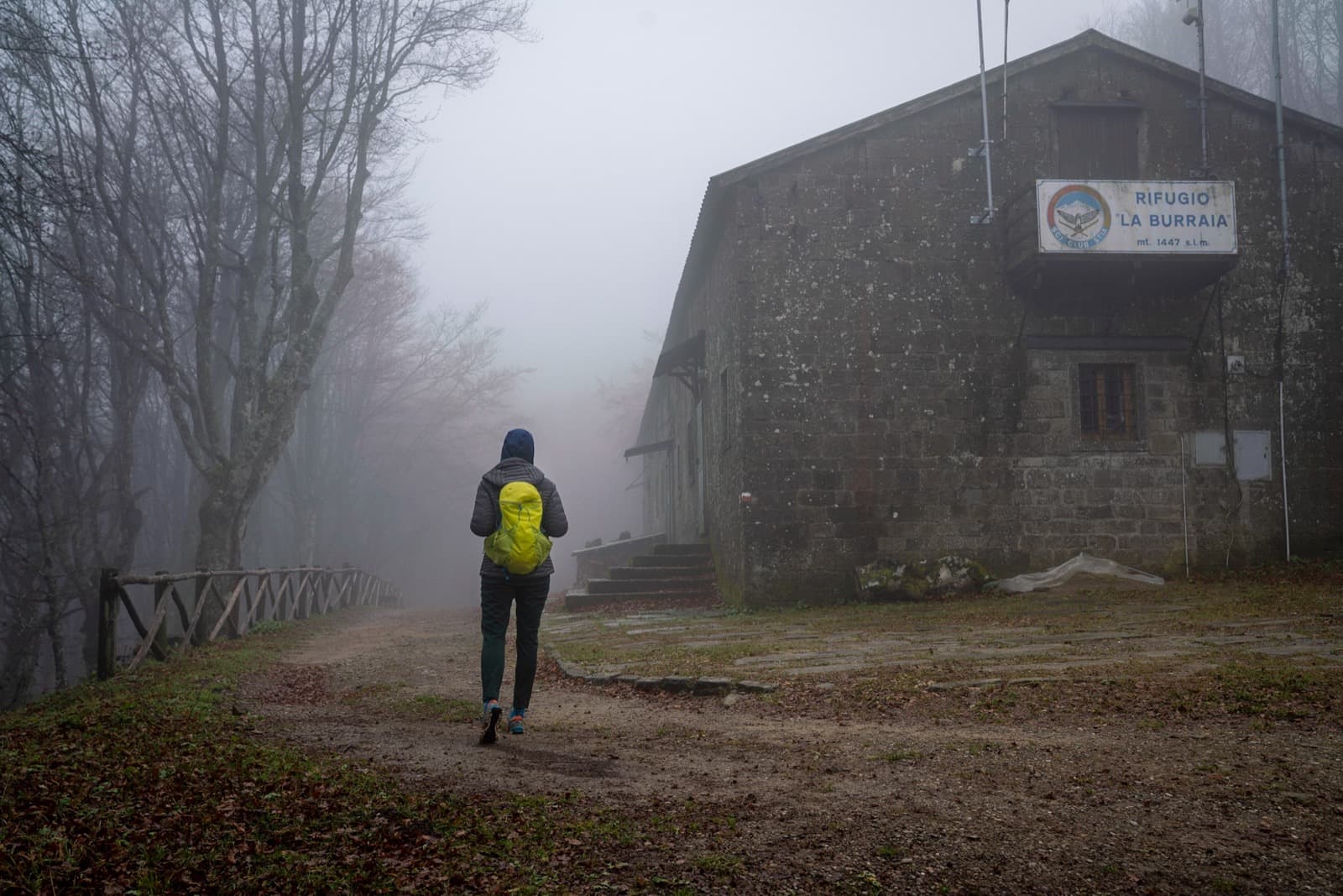 Foreste Casentinesi Park | Ph. TheCrowdedPlanet