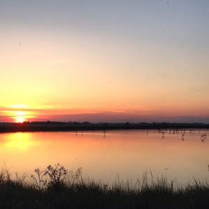 5 Esperienze Slow nella Natura dell’EmiliaRomagna