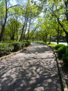[Parlami di tER #87] Primavera in città, tempo di pic nic. Guida ai giardini e ai parchi più belli di Riccione