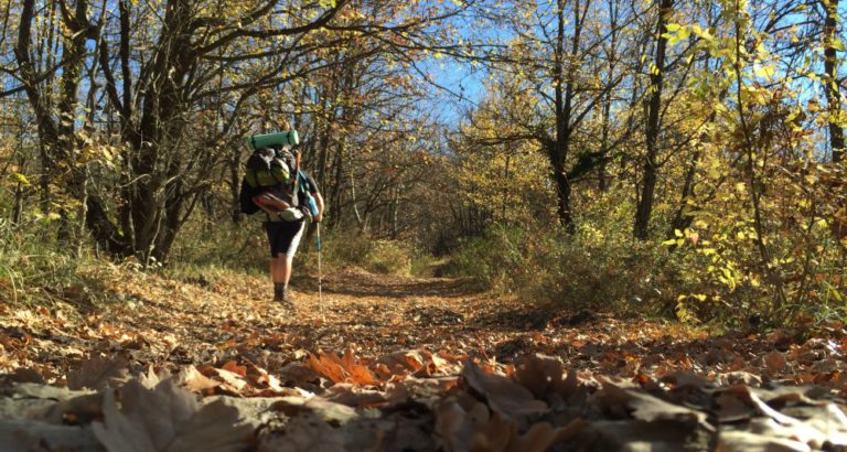 Vie dei Pellegrini da Percorrere in Emilia Romagna (Seconda Parte)