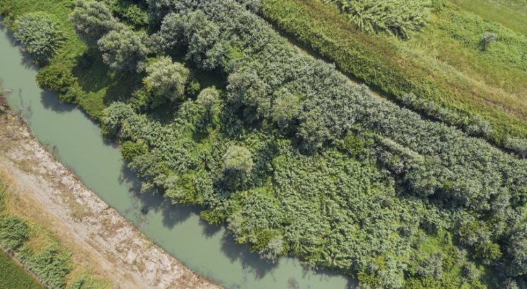 In bicicletta lungo il fiume Lamone