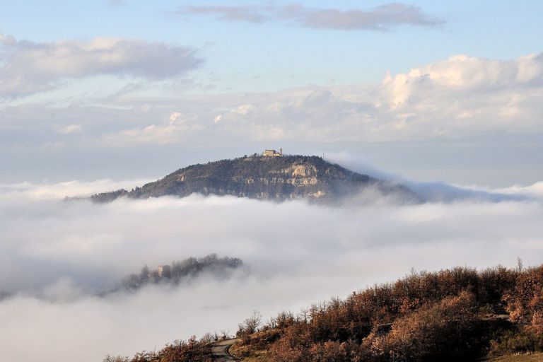 [Parlami di tER] Lo strano caso delle formiche della Madonna