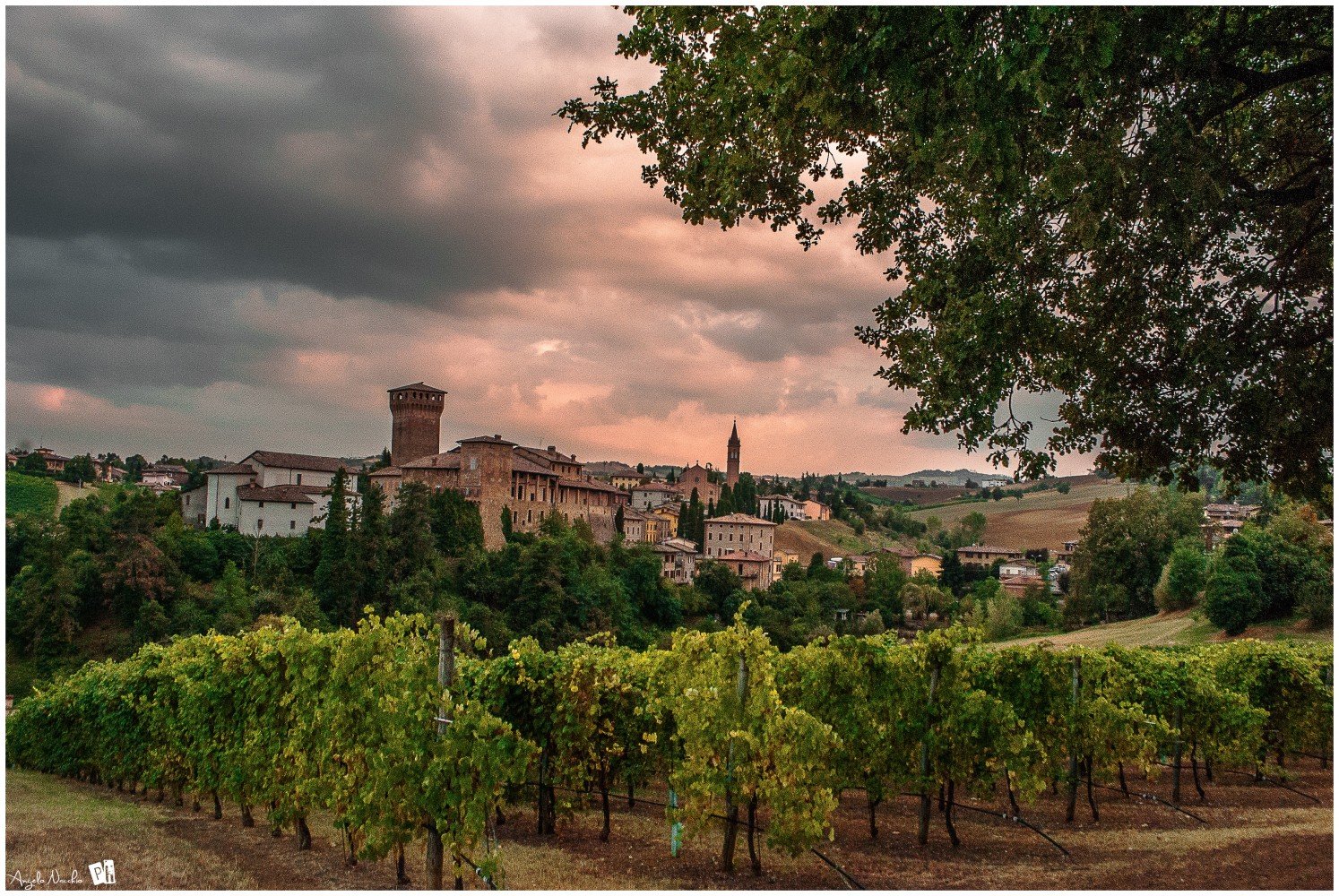 Castello di Levizzano, Castelvetro di Modena | Ph. Angelo Nacchio