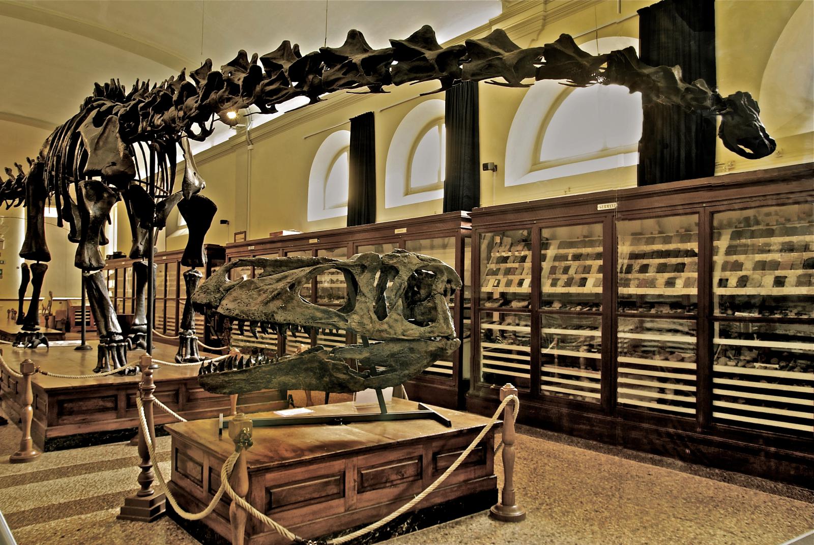 Geological Museum of Bologna