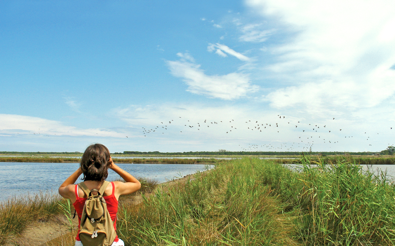 Birdwatching nel Parco del Delta del Po | Foto Archivio Comune di Ravenna