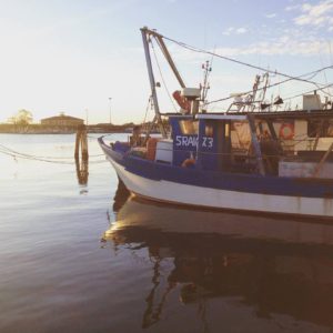 Come diventare “Pirati” dell’Emilia-Romagna