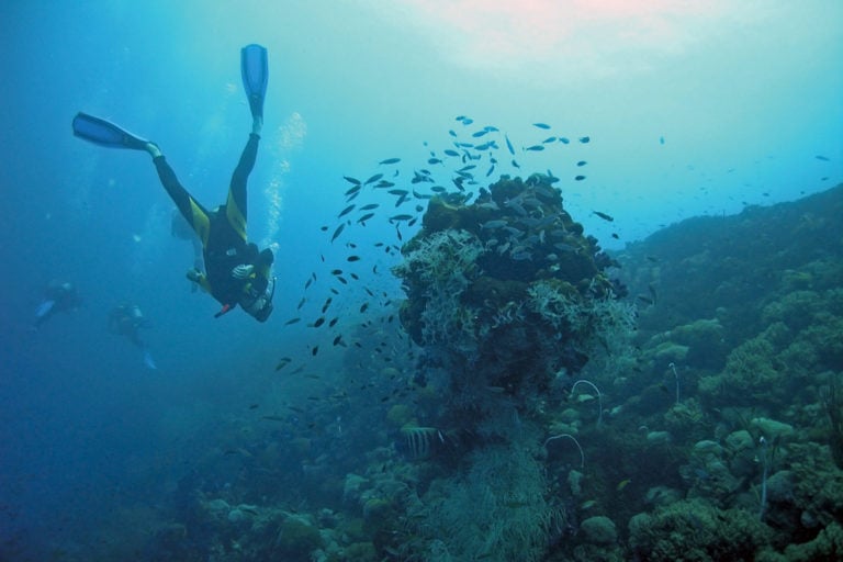 La piattaforma del Paguro: un reef a largo di Ravenna