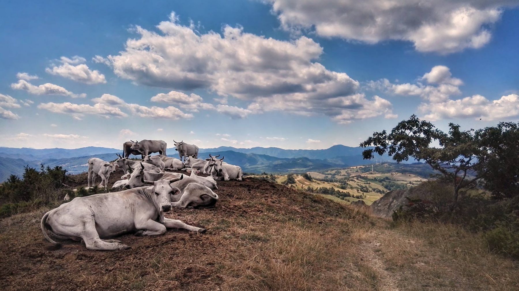Sasso Simone and Simoncello Park | Pic © parcosimone.it