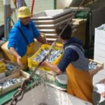 Pescatori di Cattolica
Arch. Riviera di Rimini