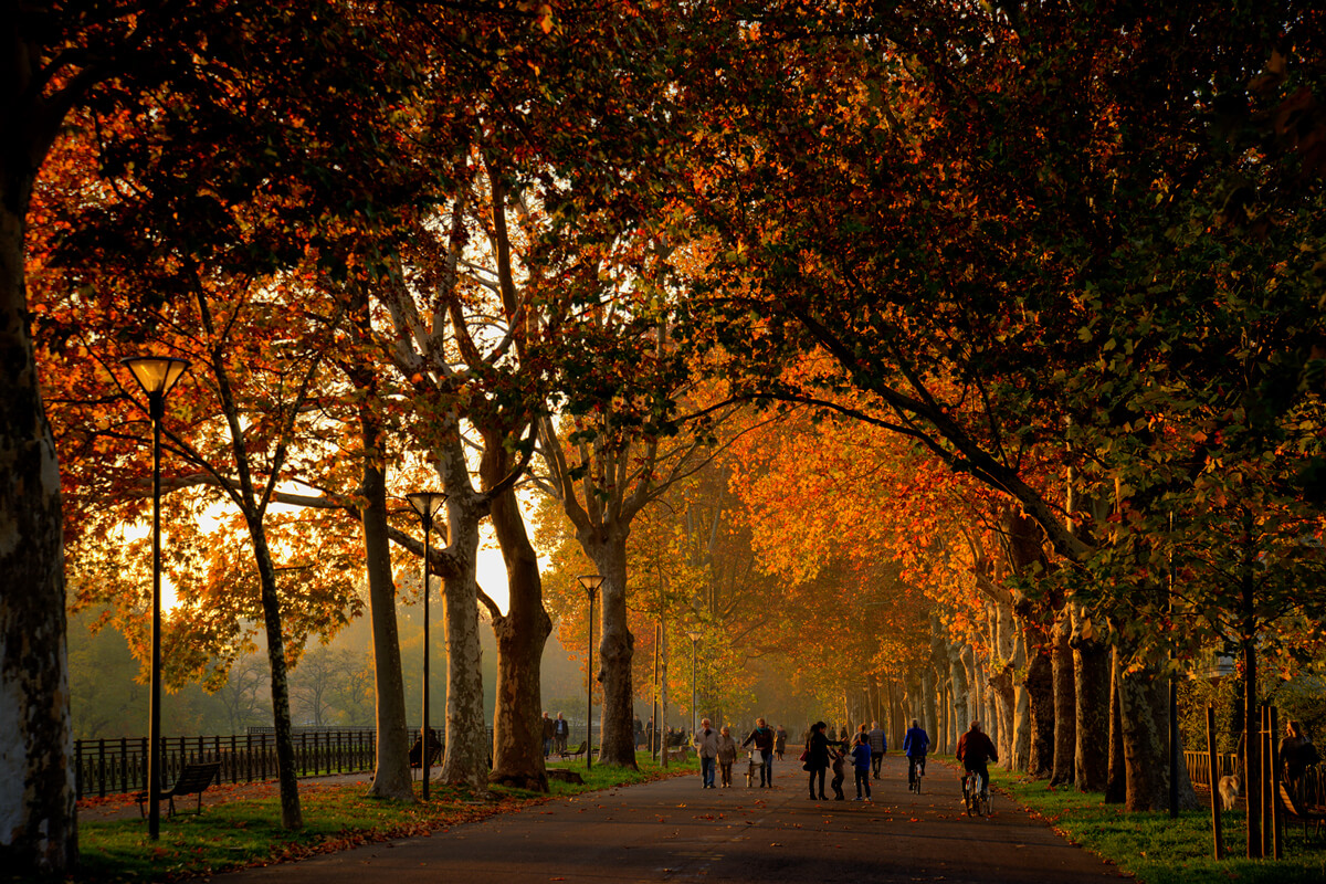 Piacenza (PC), Parco delle Mura Facsal in autunno