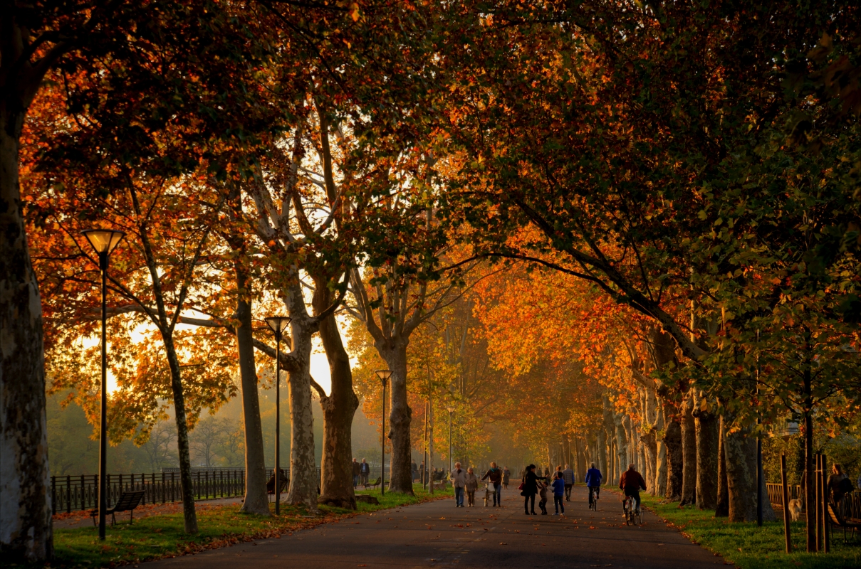 Viale Facsal (Piacenza)