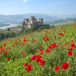Castello di Torrechiara – Ph. Enrico Robetto