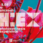 Riccione (RN) – Photosynthesis experience