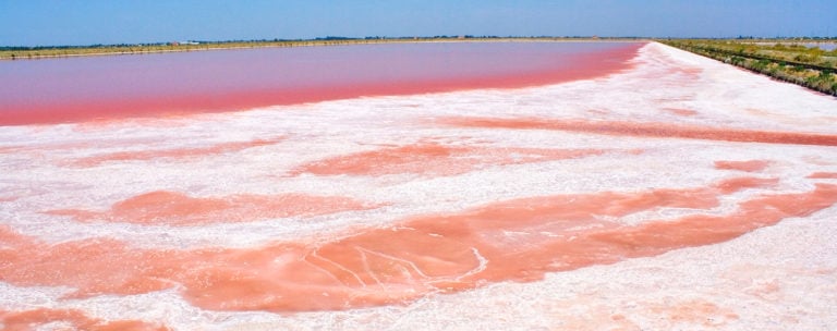 The Salt of Cervia- The Adriatic’s white gold