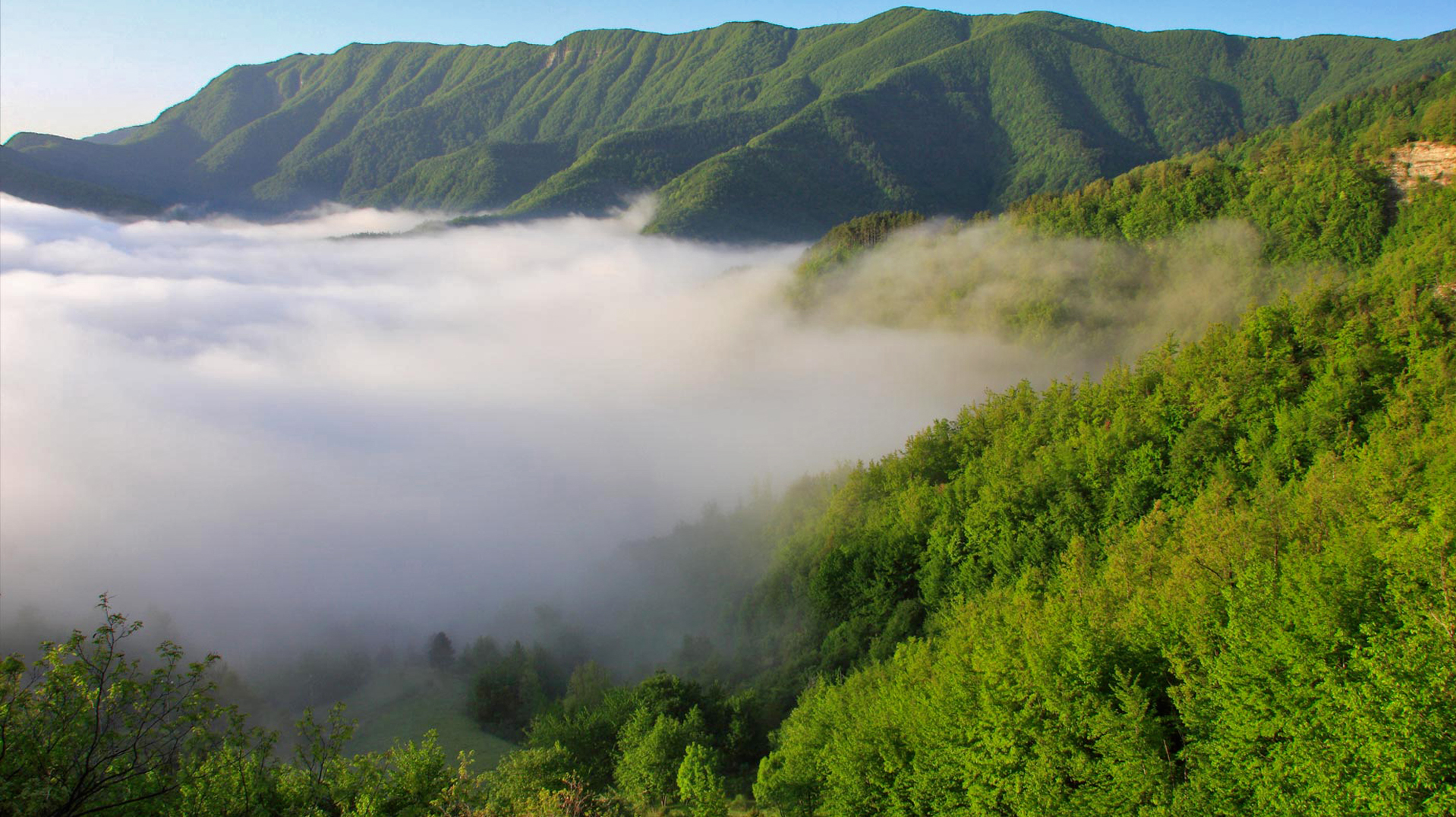 Sasso Frattino | Photo © parcoforestecasentinesi.it