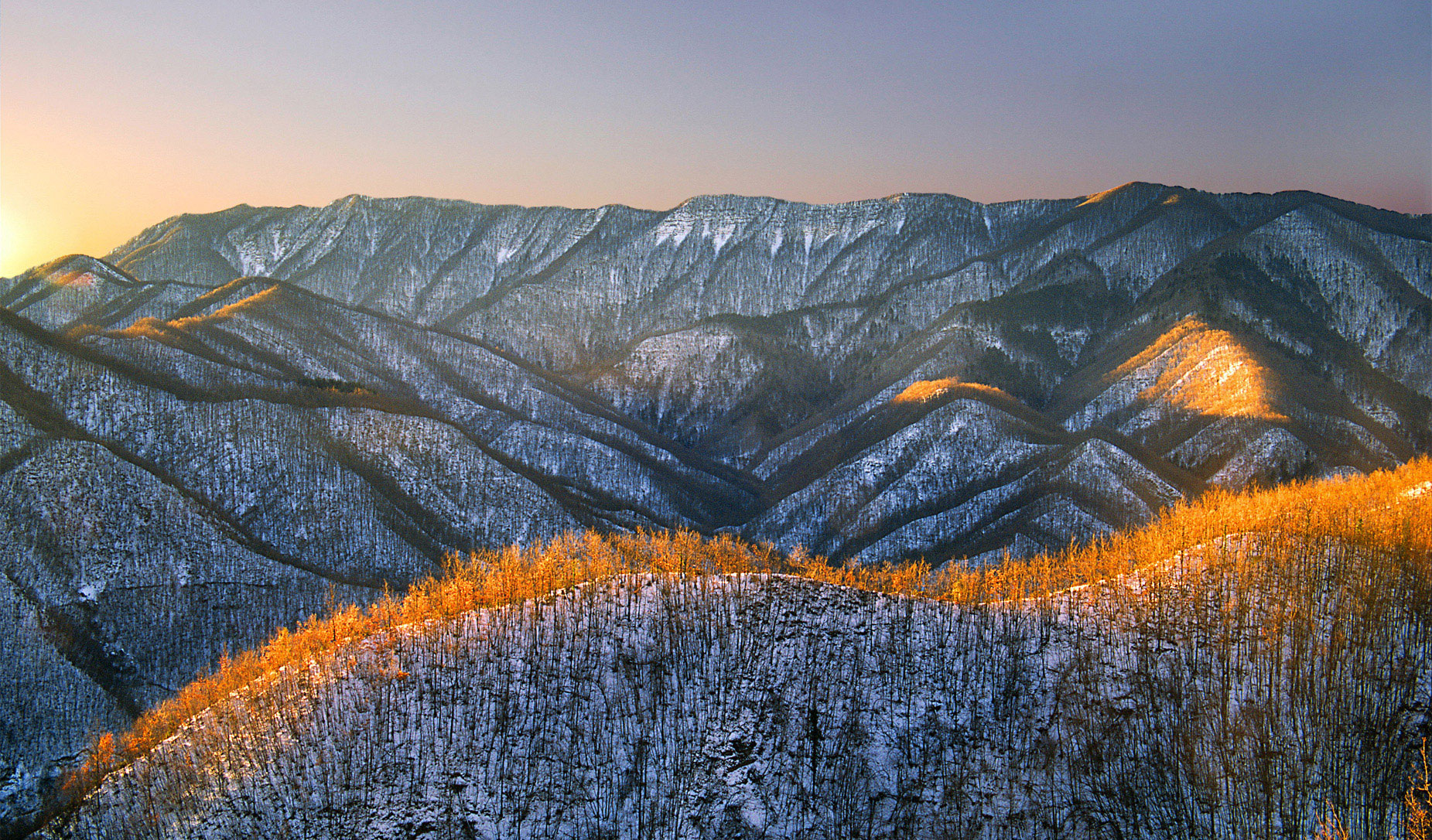 The Foreste Casentinesi, Monte Falterona and Campigna National Park