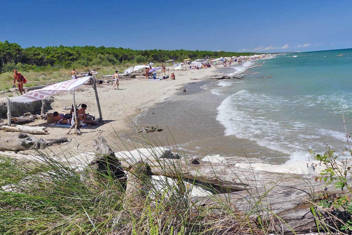 Lido di Dante (Ra), La spiaggia della Bassona