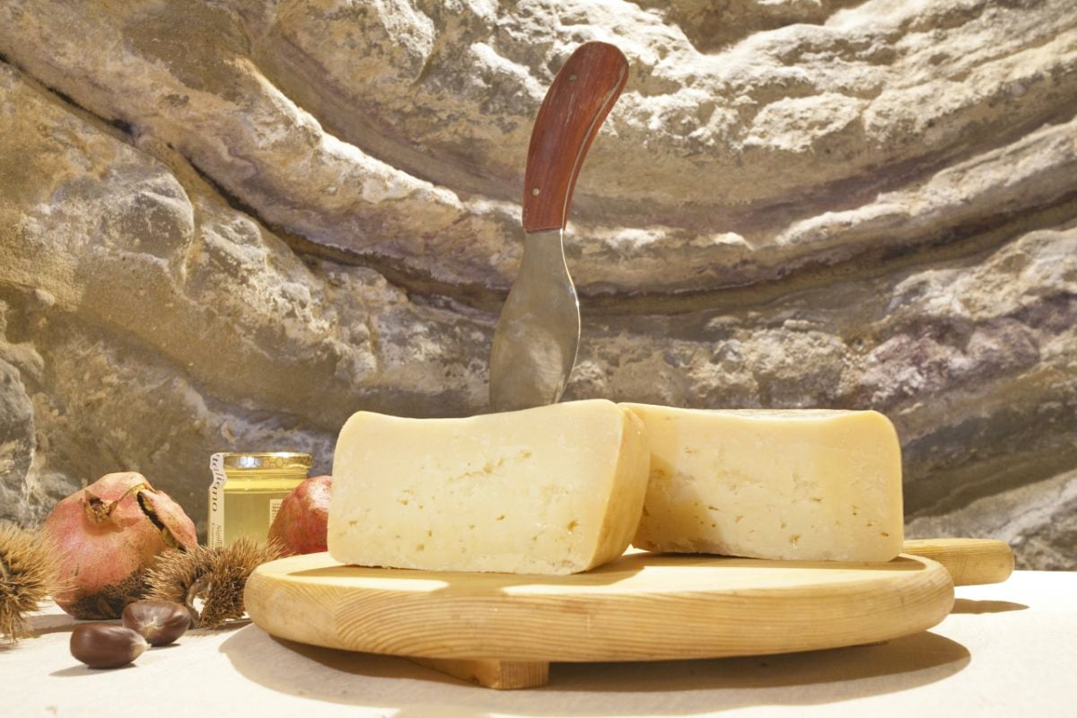 Fossa Cheese "Ambra" from Talamello  | Pic by Paritani, Photo Archive (Province di Rimini)