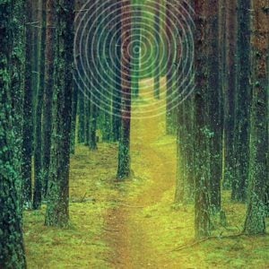 [ParlamiditER] Terrena – Tracciati di Land Art in Bassa Romagna