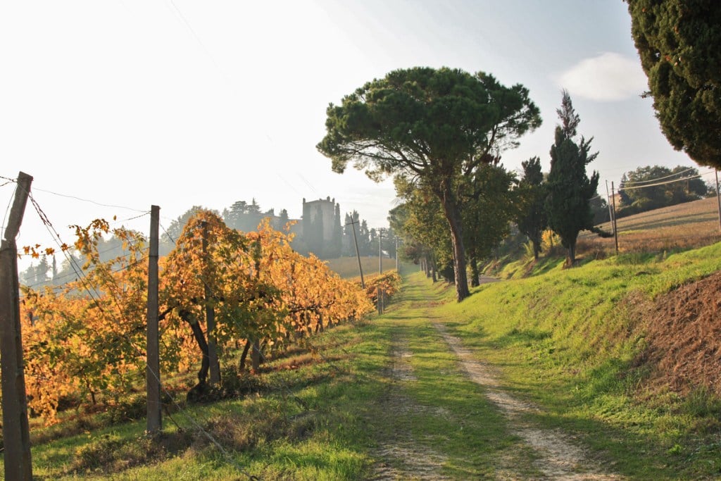 Piccola Cassia, Serravalle - Foto di https://www.valsaway.com