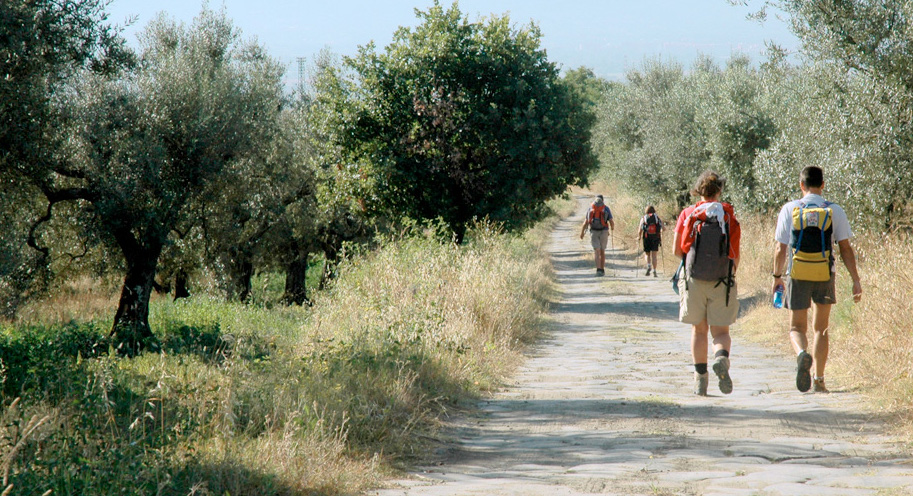 Via Francigena