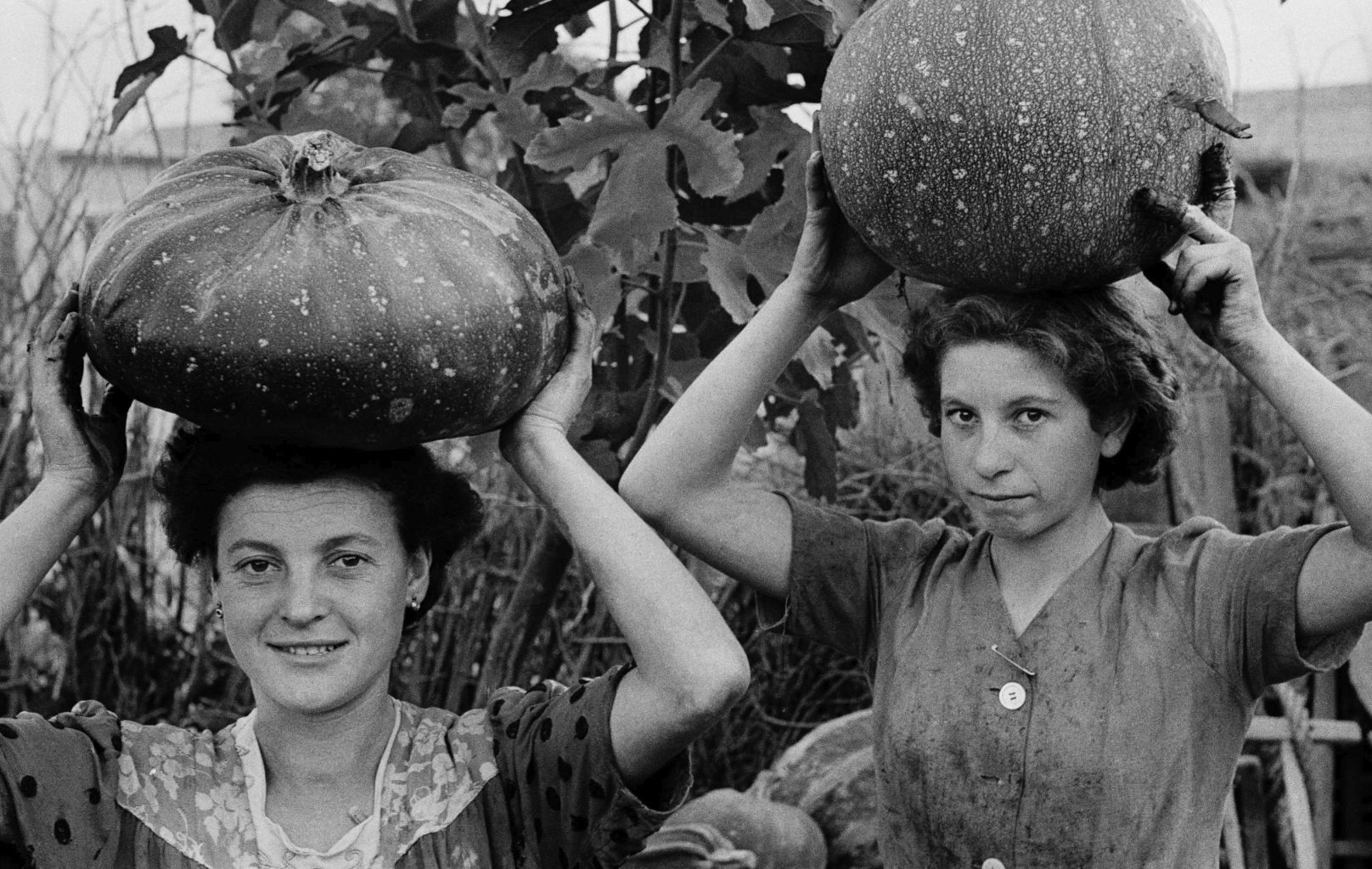 Ando Gilardi, Giovani donne portano zucche sulla testa.
Qualiano (Napoli), ottobre 1954. © Fototeca Gilardi