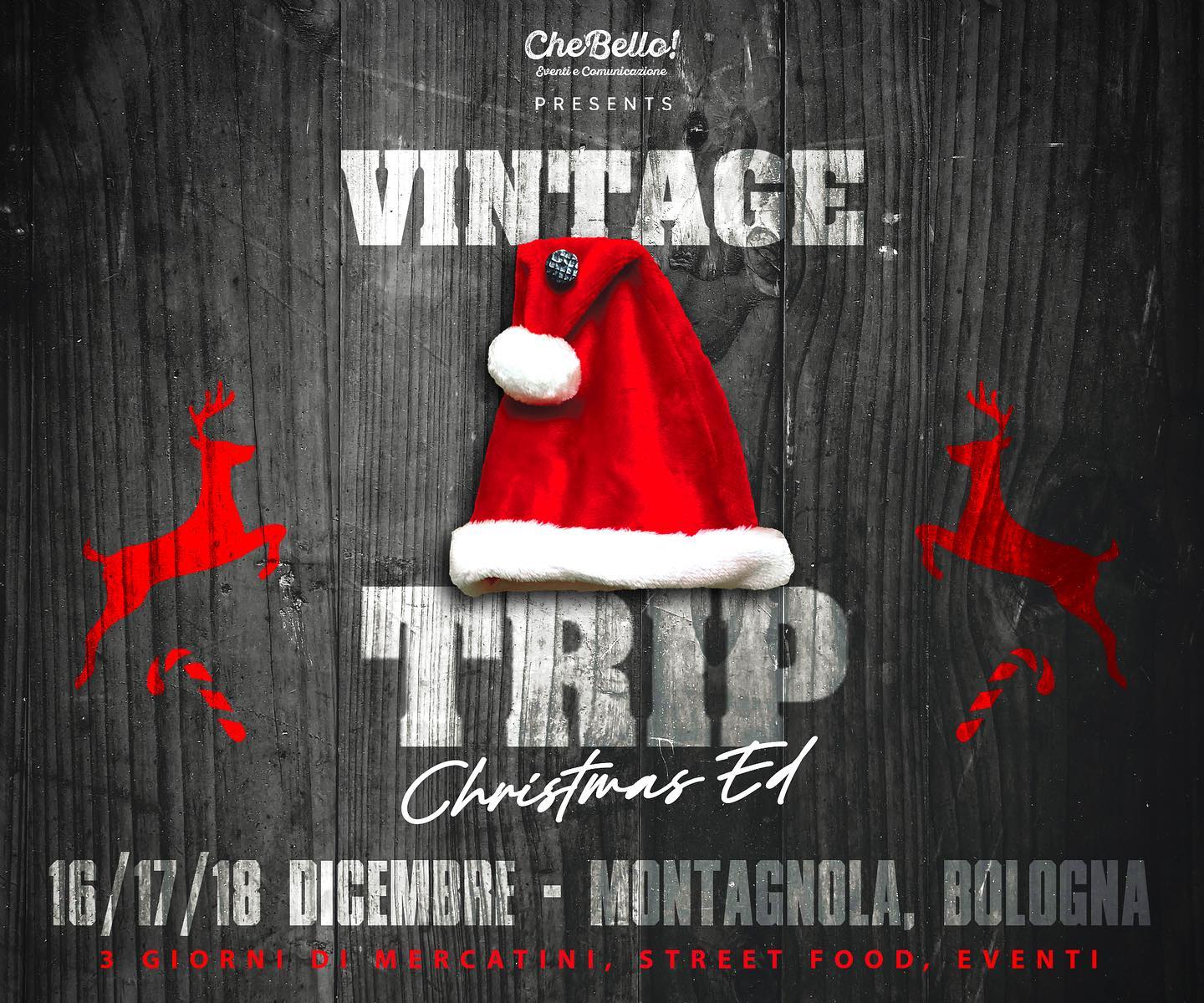 Vintage Trip 2022 Bologna