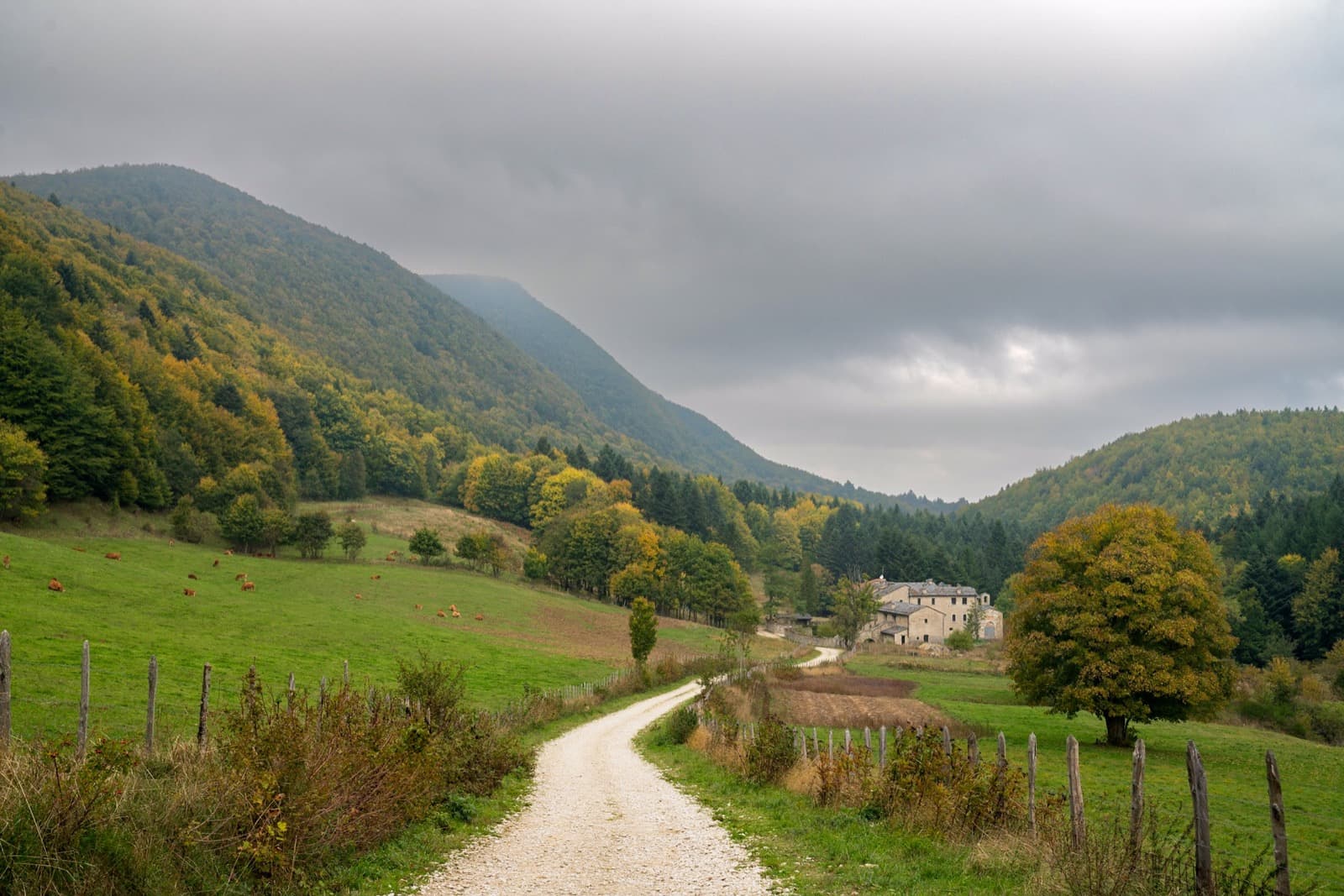 Monte Fumaiolo, valle Ph. TheCrowdedPlanet