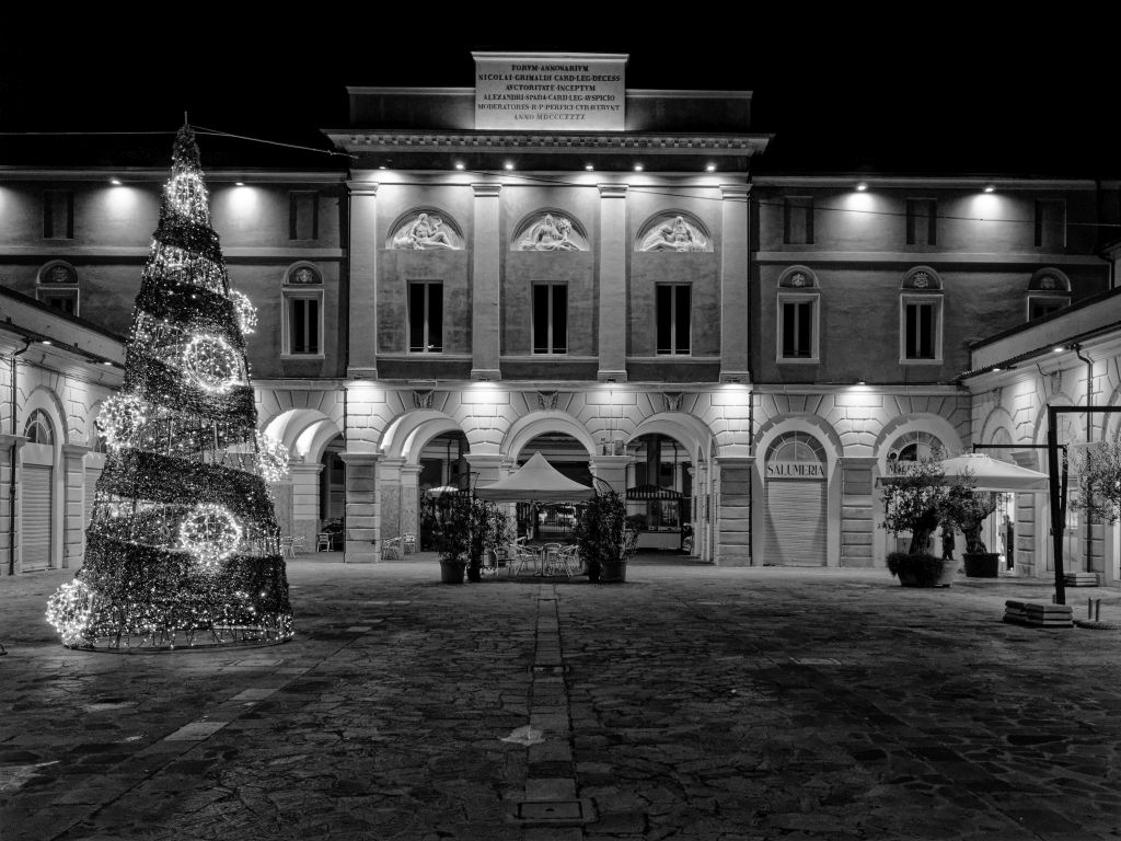 Mercato coperto, Forlì, Fabio Maggi, 2021 ©Fabio Maggi Focale 17mm (34mm equivalente) T=1/80s, f/1.8, ISO 1250