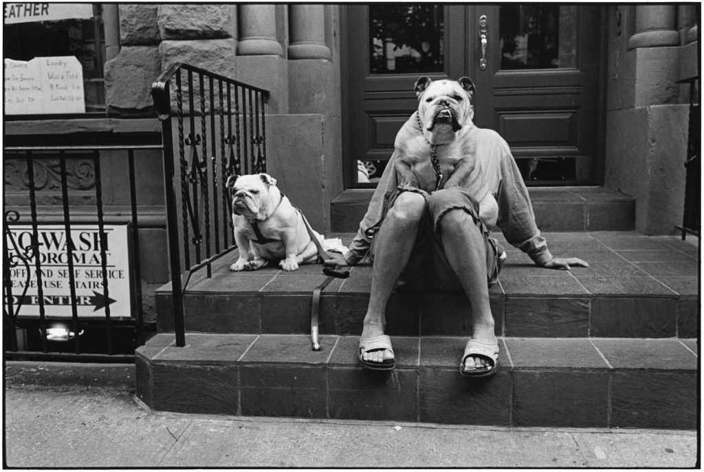 USA, New York City, 2000 ©Elliott Erwitt